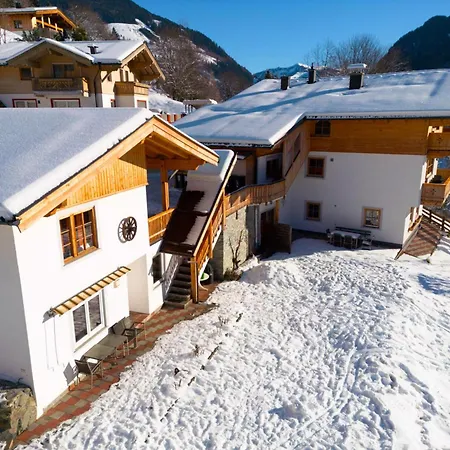 Alpensteinbock * Saalbach-Hinterglemm