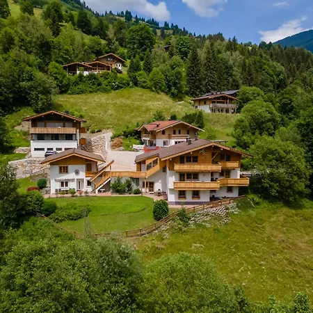 Alpensteinbock * Saalbach-Hinterglemm