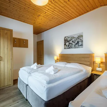 Holiday home Alpensteinbock Saalbach-Hinterglemm
