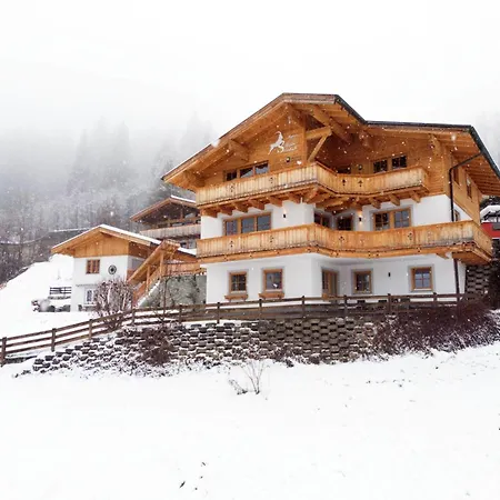 Alpensteinbock *