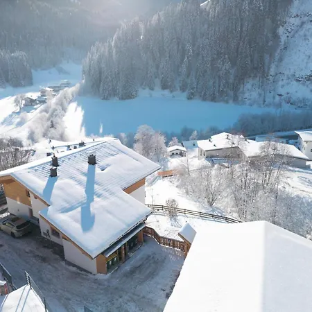 Alpensteinbock Saalbach-Hinterglemm