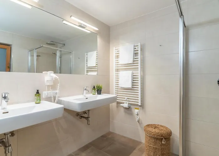 Alpensteinbock Saalbach-Hinterglemm