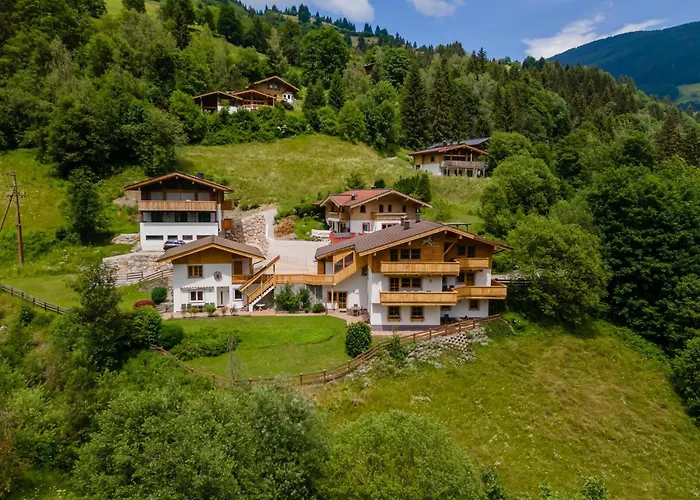 Alpensteinbock * Saalbach-Hinterglemm