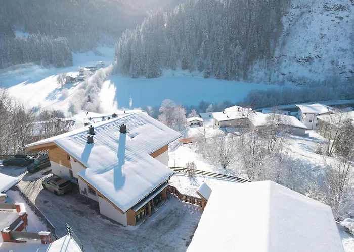 Alpensteinbock Saalbach-Hinterglemm